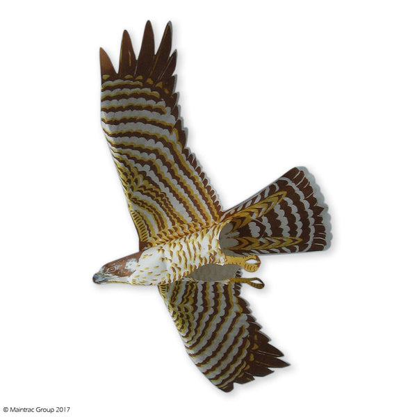 Jackite Peregrine Falcon
