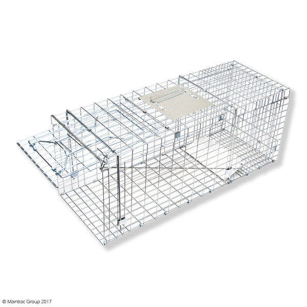 Pestgard Cat Trap - Large Cage