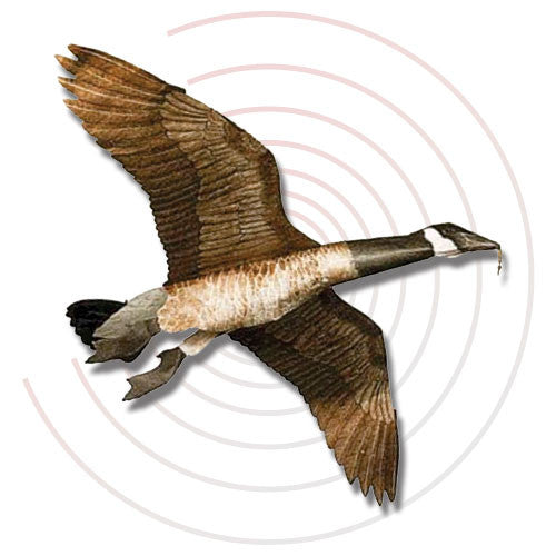 Jackite Canadian Goose - Decoy Kite